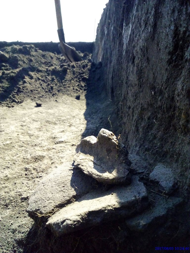 Дніпропетровщина_розкопки