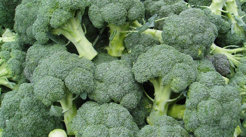 Брокколи
