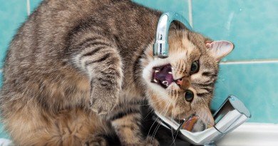 водопостачання