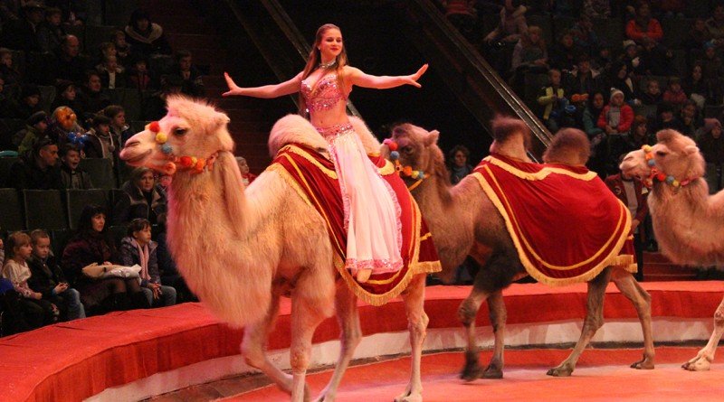 пристрасті