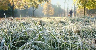 погода