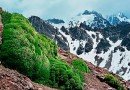 рослинність