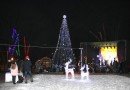 ялинка_парк Шевченко