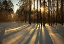 февраль