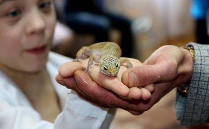 Безкоштовне шоу