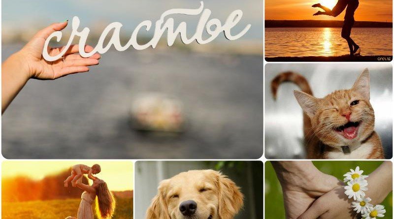 день счастья