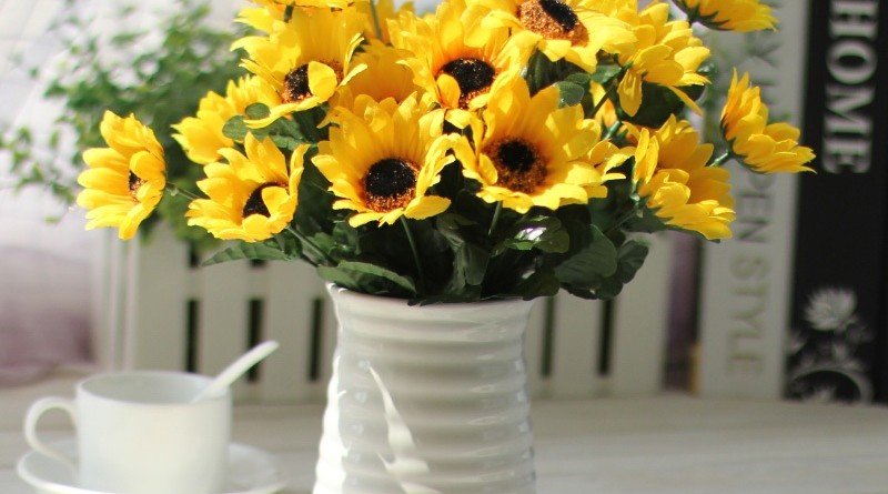 подсолнечник