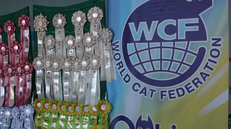 Международная выставка кошек_Никополь