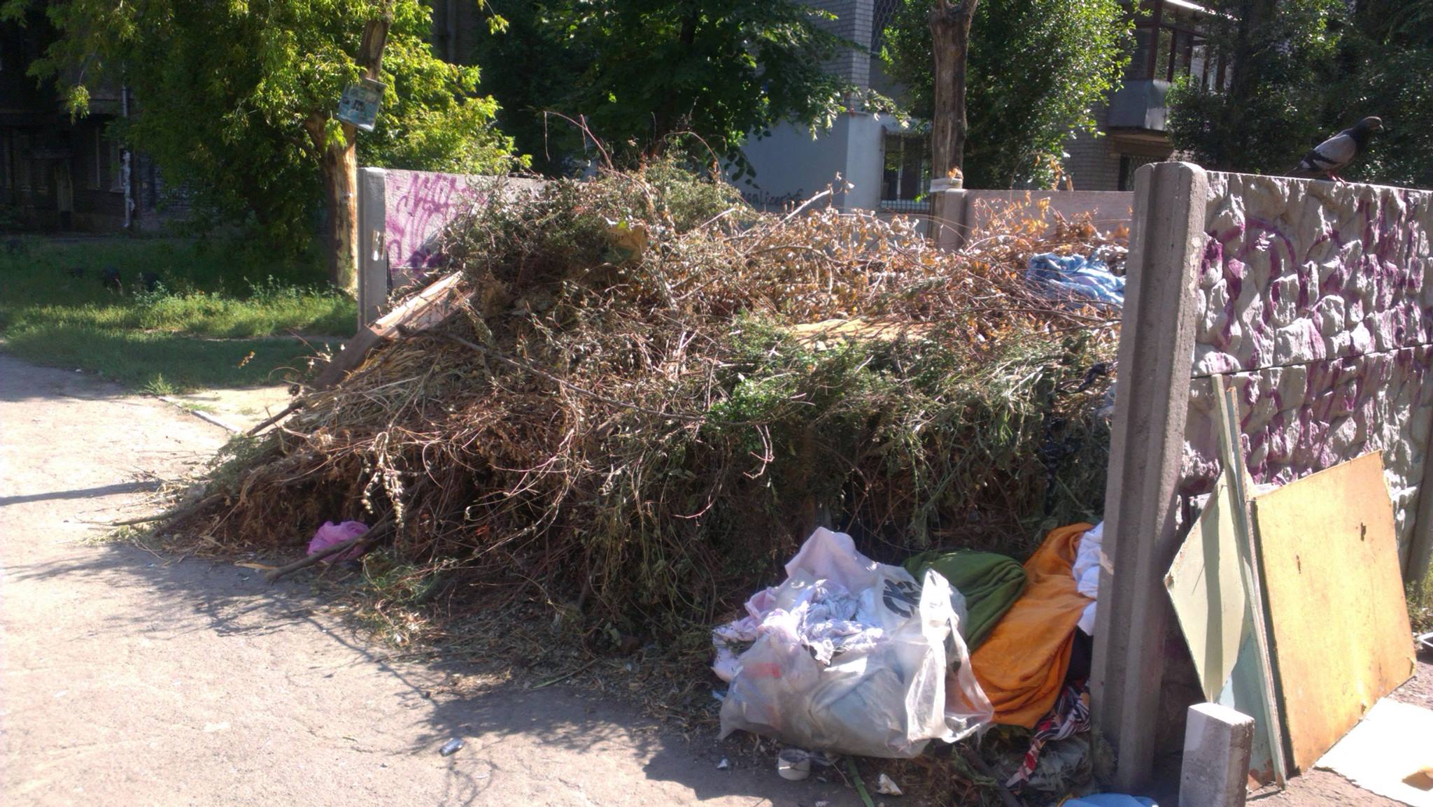 21199441_526043347739174_4857135546848735818_o