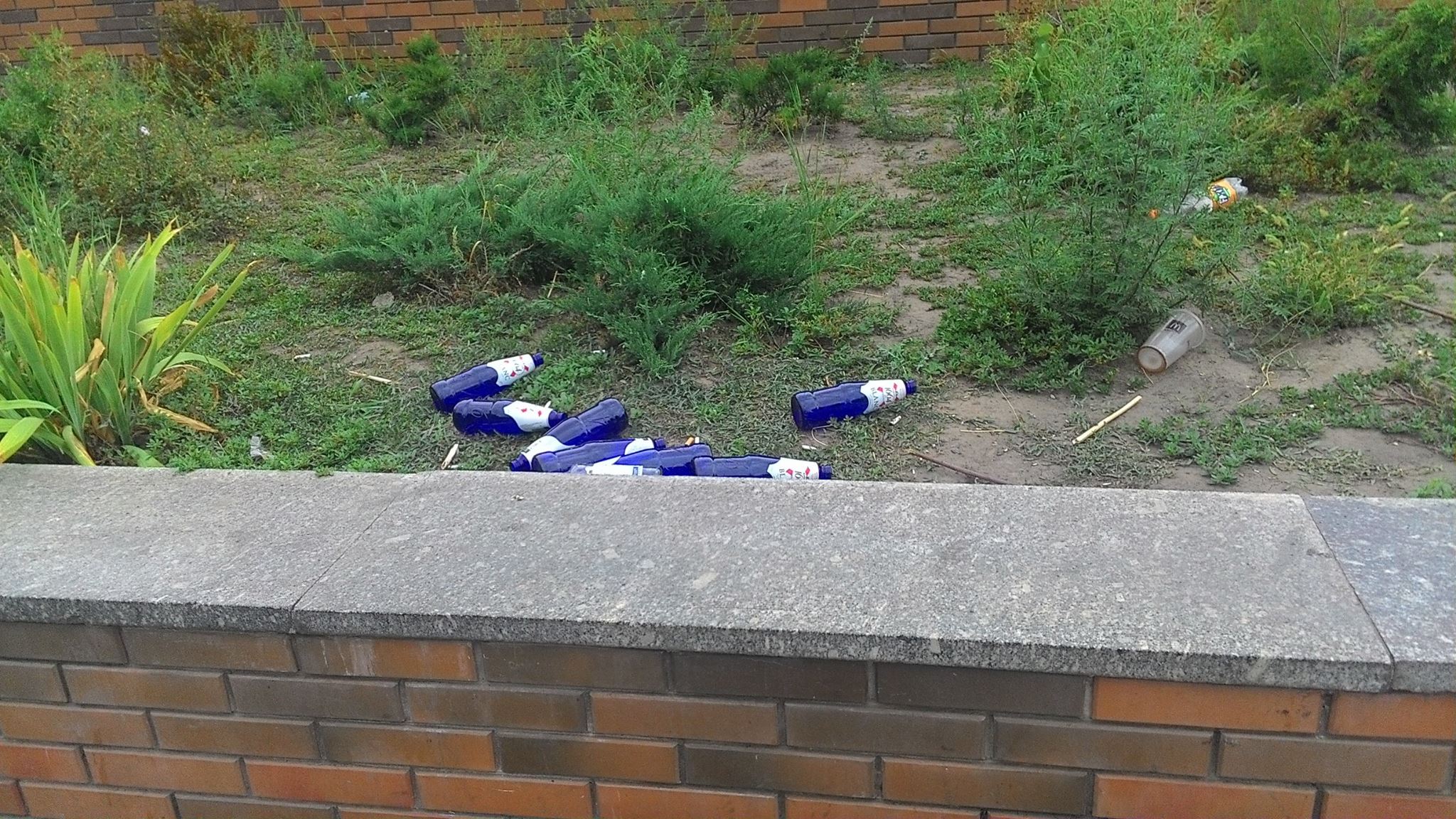 21246377_1845230449126800_1299782847067437258_o