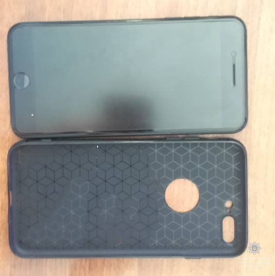 Дніпро_пограбування