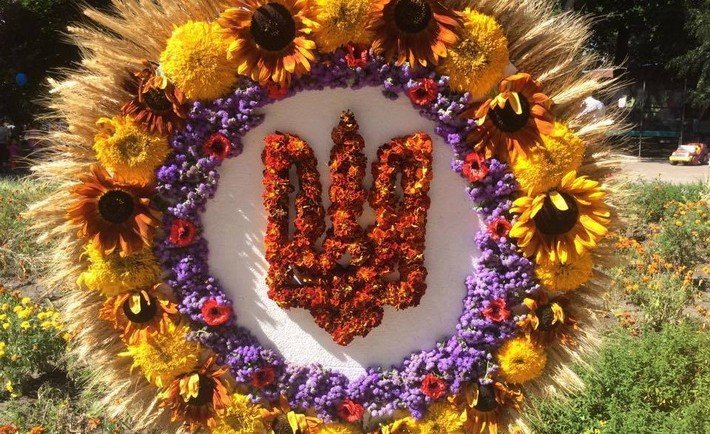 11885189_1618734535074539_2595255704398461959_n-710x434