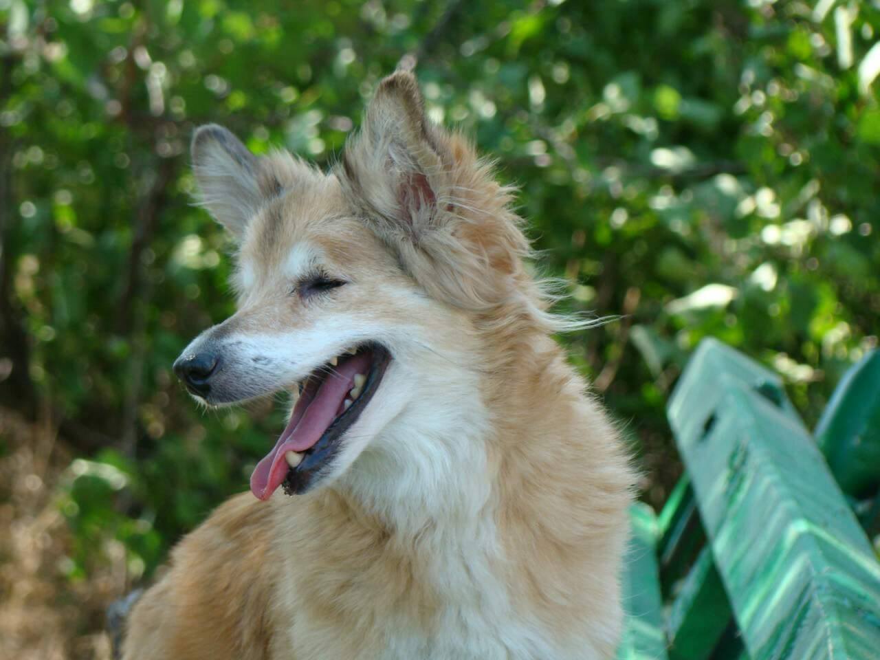 21122265_916243571860218_770481771855150749_o