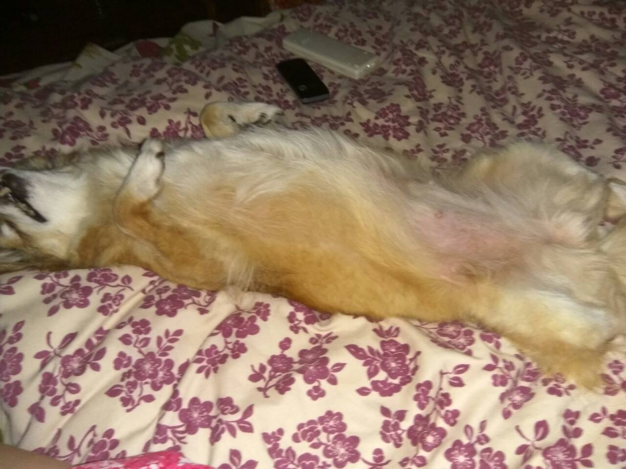 21125513_916243741860201_2180861950817796369_o