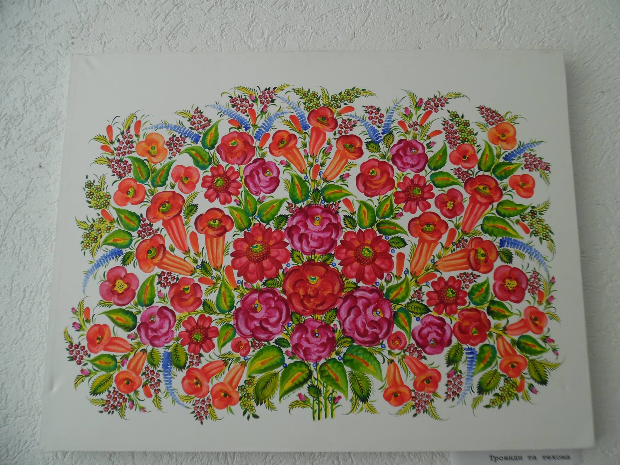 21743878_774863709353360_1426874025581026737_o