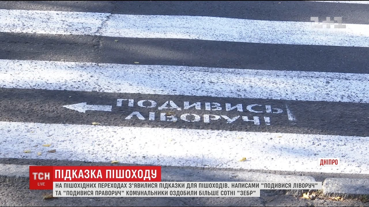 зебра