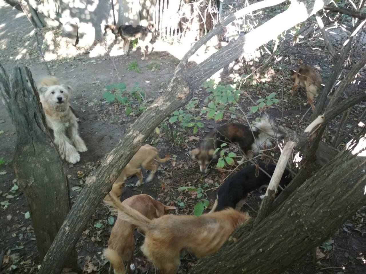 22181346_2364336250457728_4808382902813602468_o