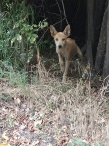 22181518_2364336217124398_862620310298627955_o