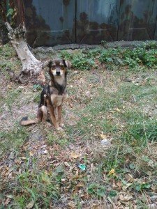 22218551_2364336153791071_4182136179111171860_o