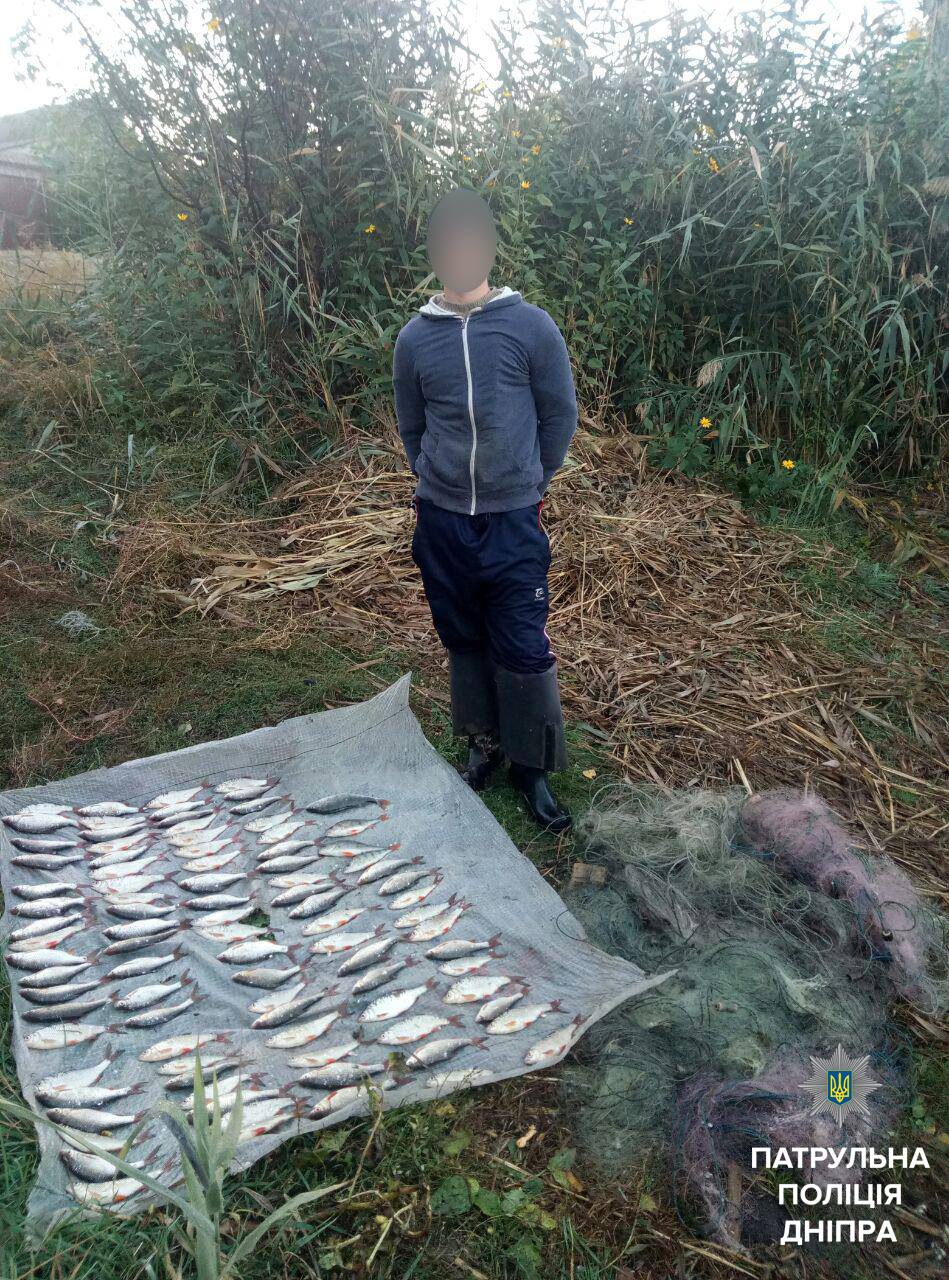 22291487_1779812142311393_7792260897875443555_o