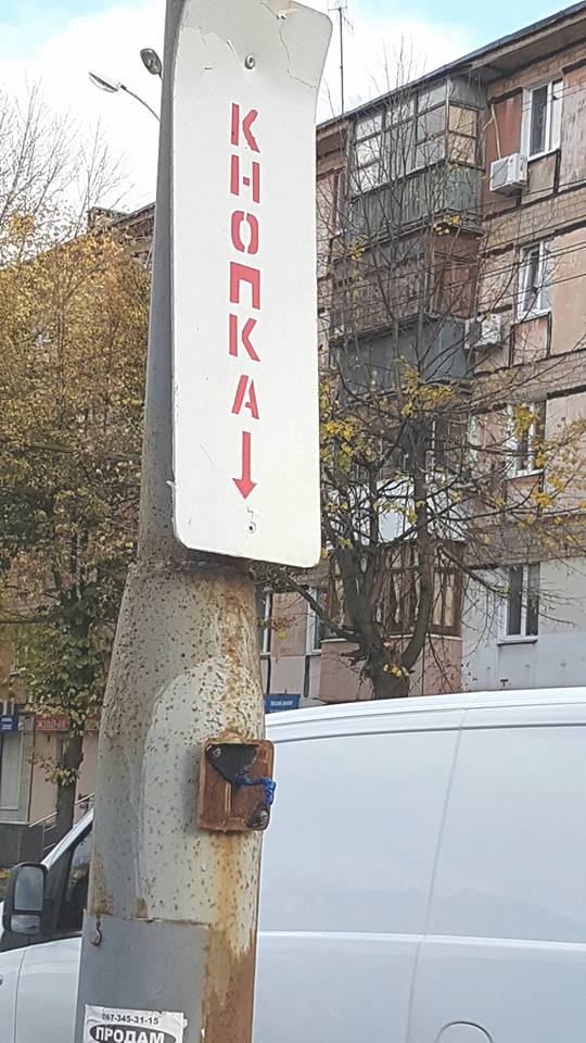 22555124_10214828308605111_3464767431847361915_n