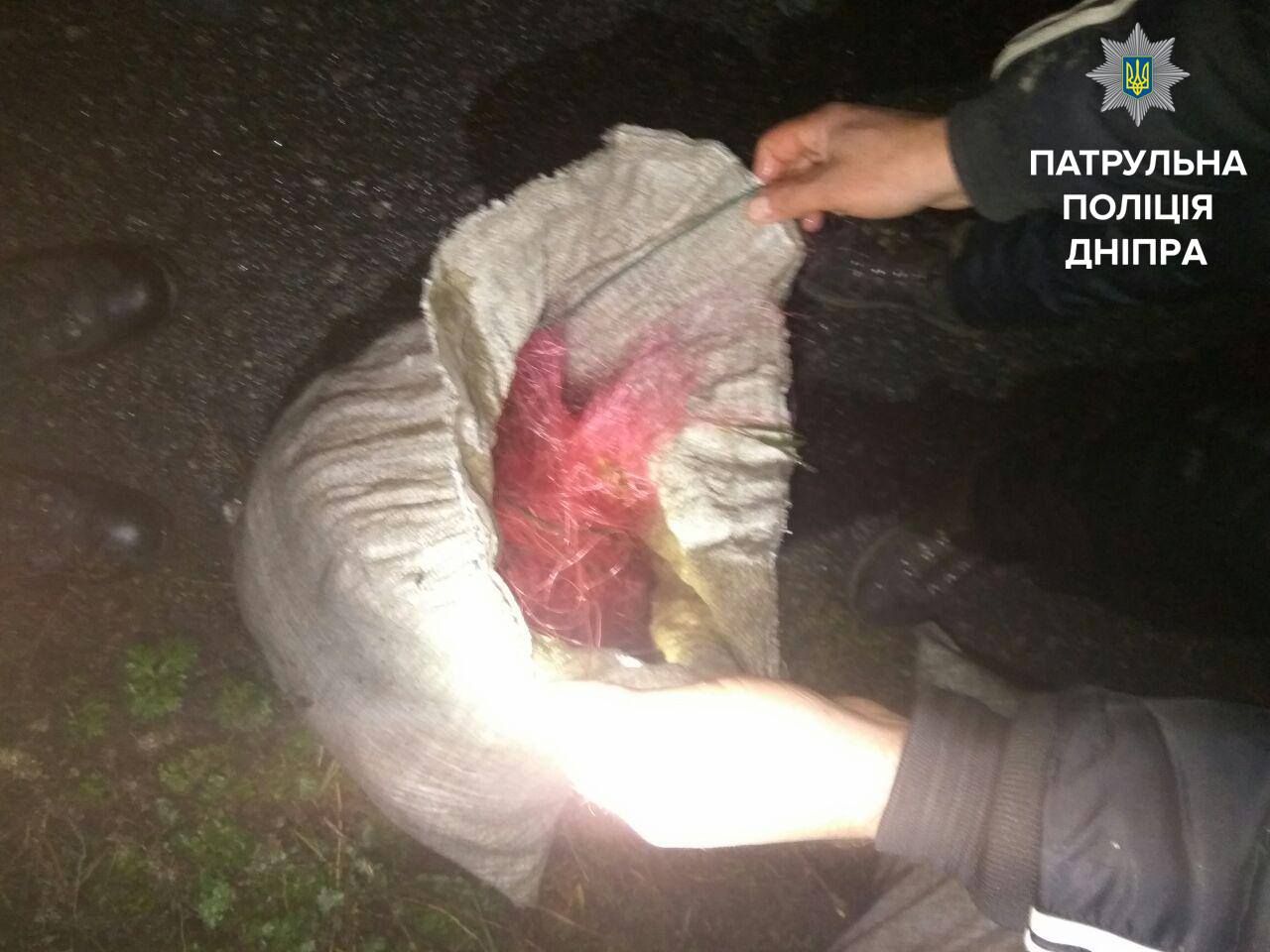 22770520_1785495431743064_1648715801087483178_o