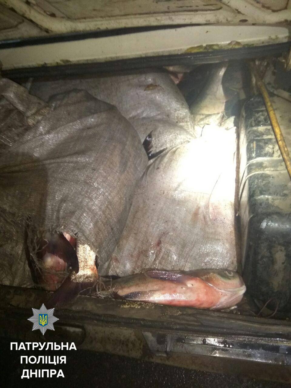 22829517_1785495435076397_3481082815251605165_o