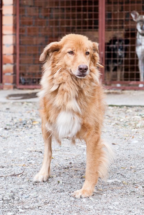 e91d2349d6a3d7c96ef696e28f6eb3f2