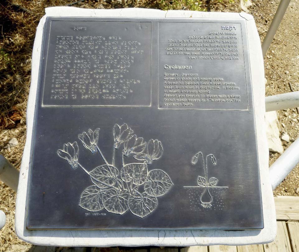 Израиль_тропа для слепых