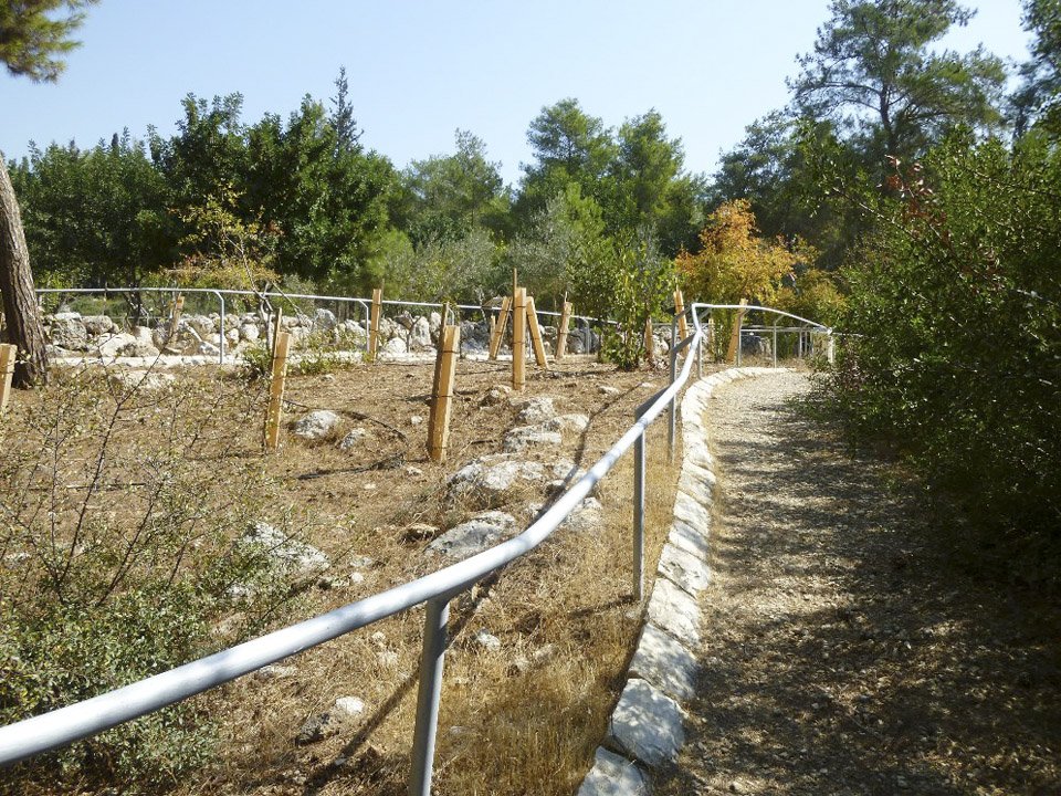 Израиль_тропа для слепых