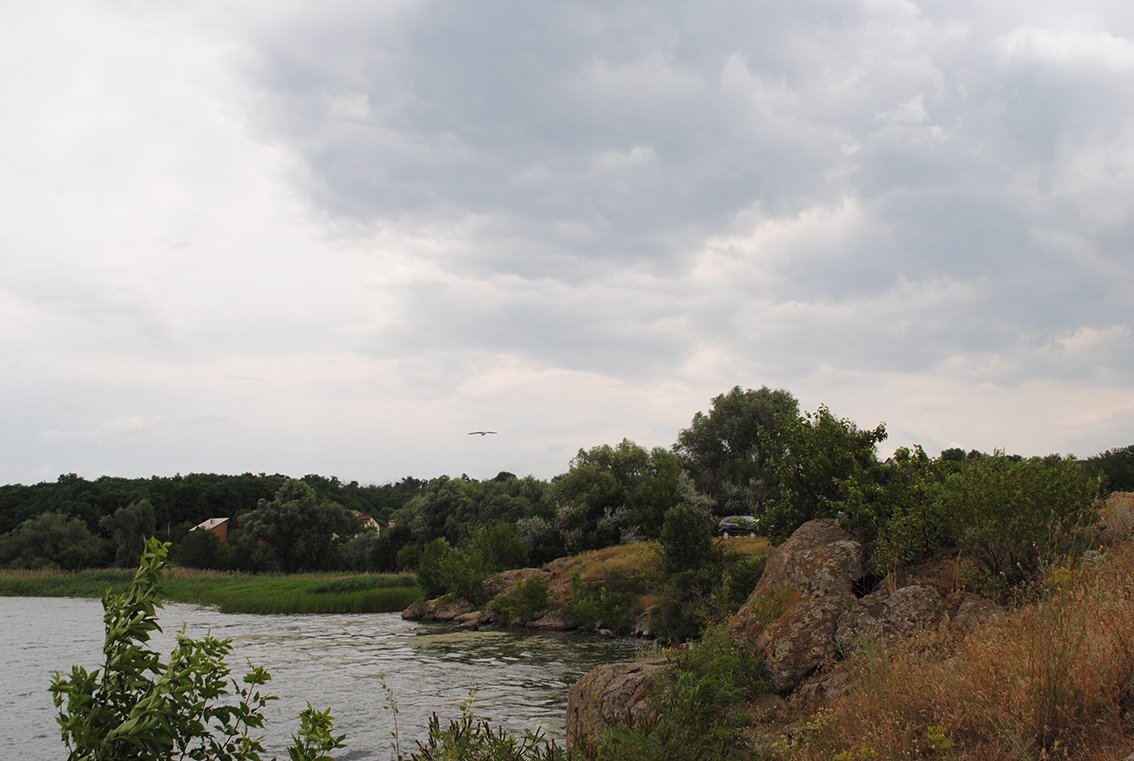 Село Воронівка