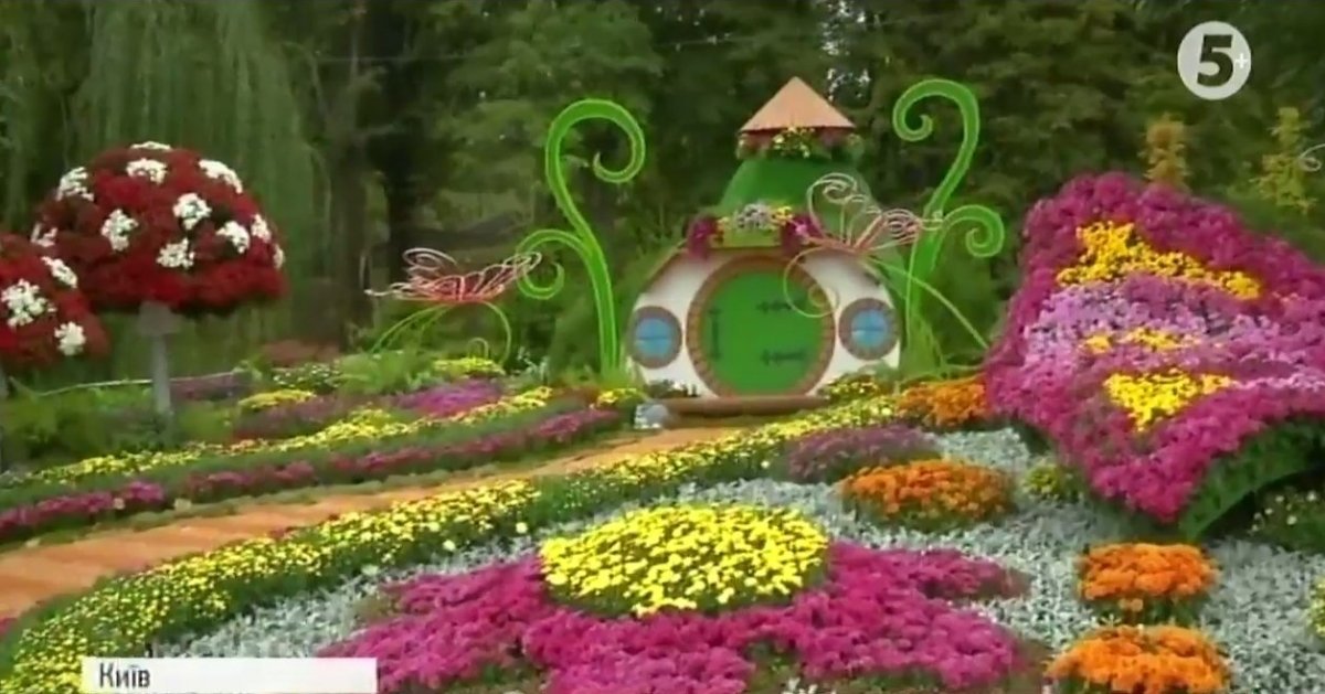 хризантеми1