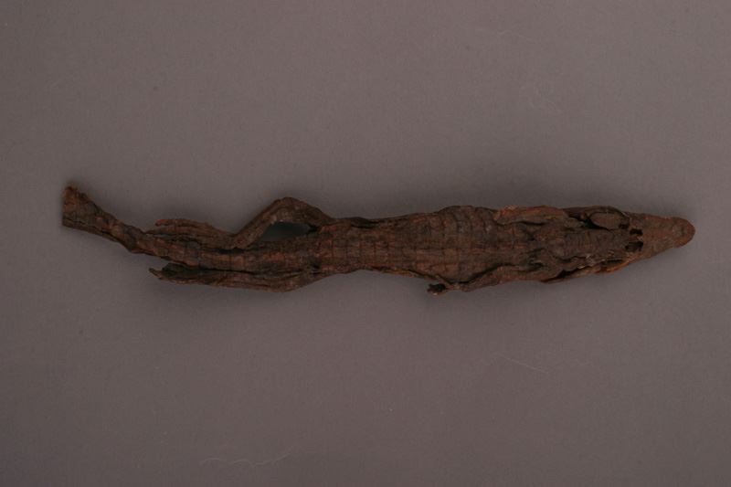 22730458_567203713610771_8722470545495993753_n