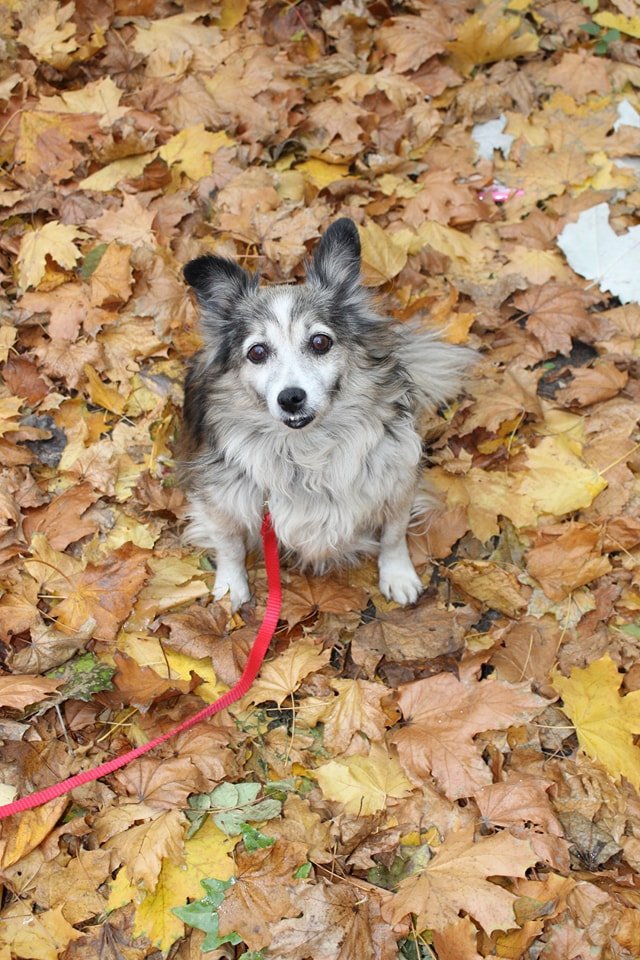 23201818_2015791748665257_1736317490_n