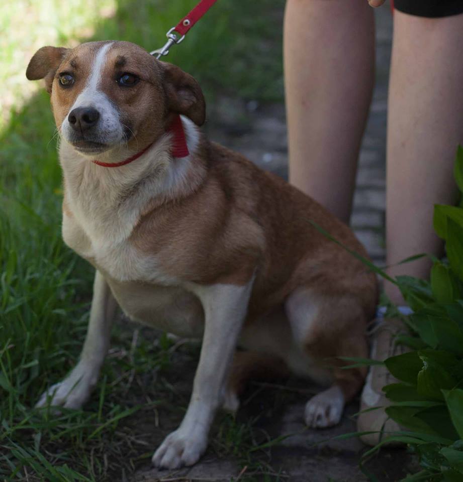 24098942_2396657563892263_718453747_n