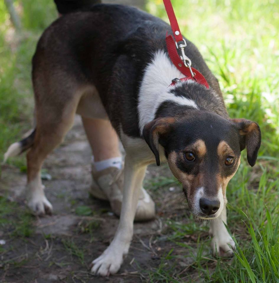 24133409_2396657447225608_1174987167_n