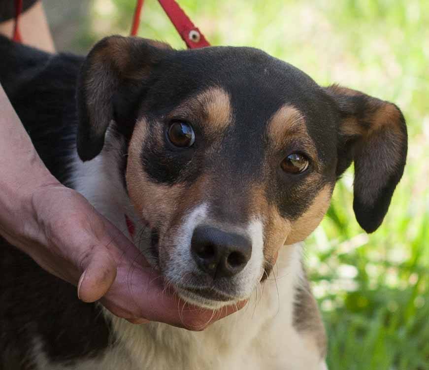 24135533_2396657437225609_220342126_n