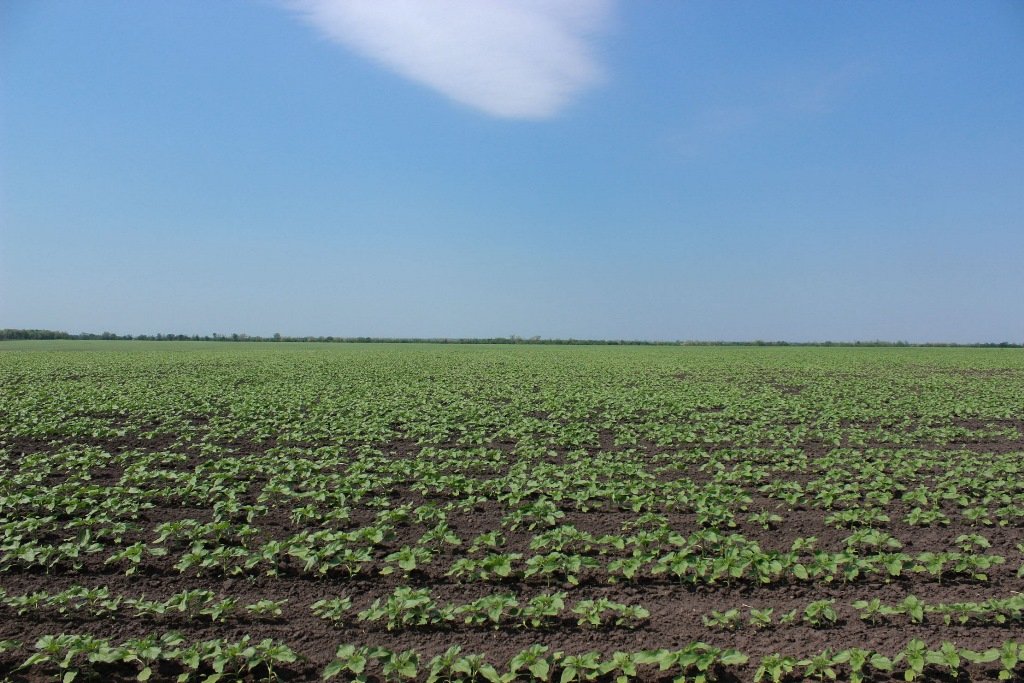 аграрії Дніпропетровщини