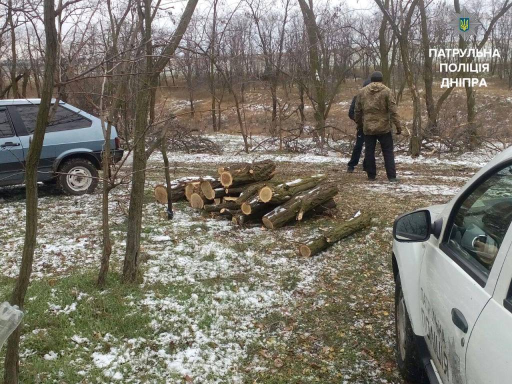 вирубка лісосмуги