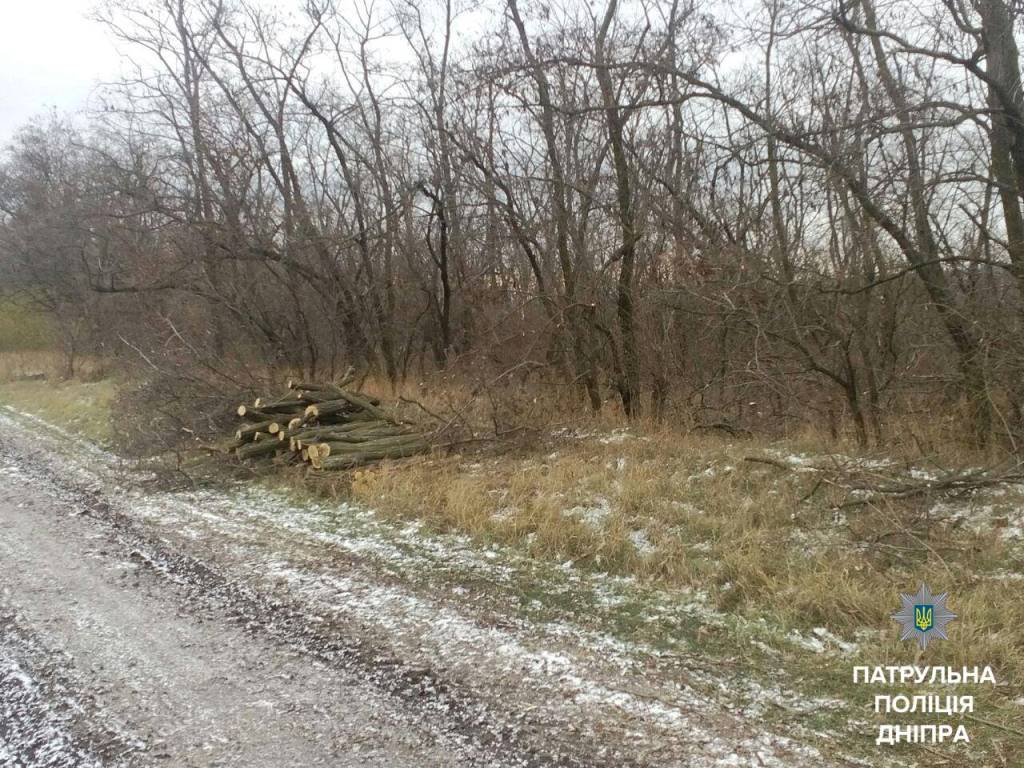 вирубка лісосмуги