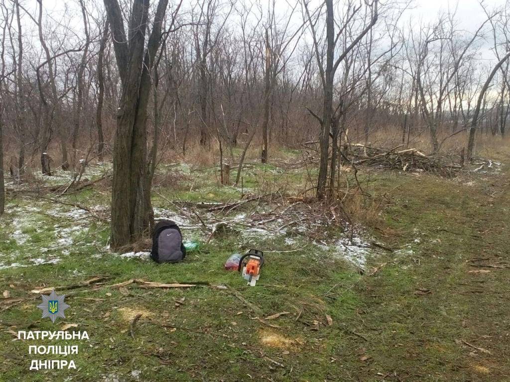 вирубка лісосмуги