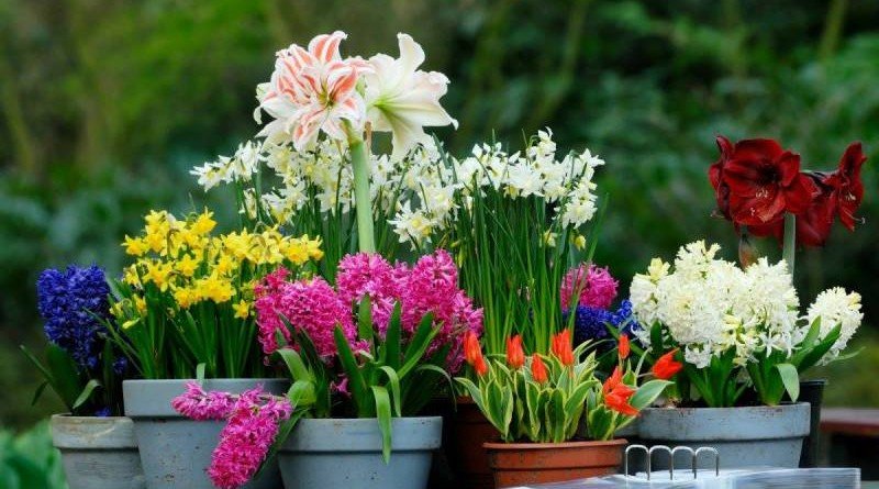 райская барахолка_Днепр