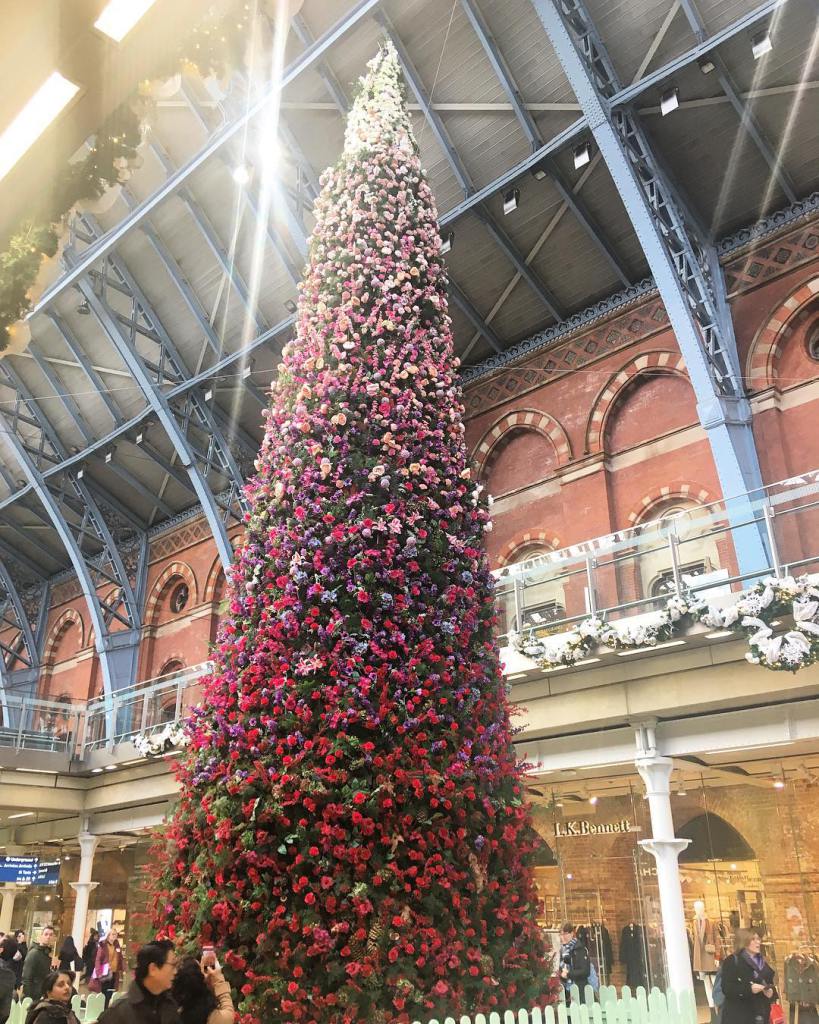 різдвяна ялинка