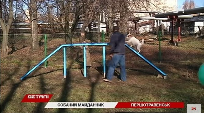 тренажеры для собак _Першотравенск