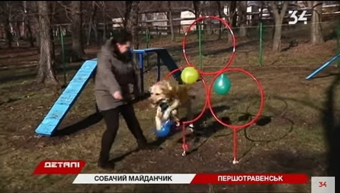 тренажеры для собак _Першотравенск