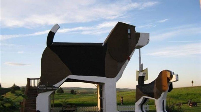 гостиница_собака