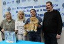 кот рекордсмен Кекс