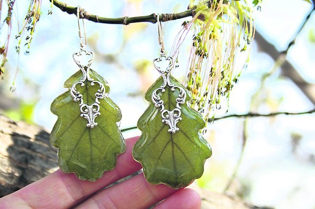 аксессуары из растений