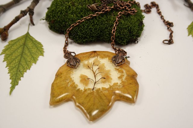 аксессуары из растений