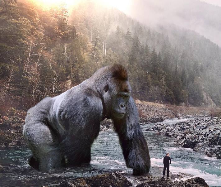 гигантские животные